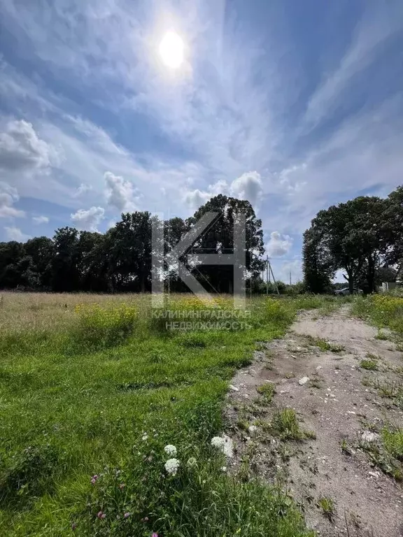 Участок в Калининградская область, Зеленоградский муниципальный округ, ... - Фото 1