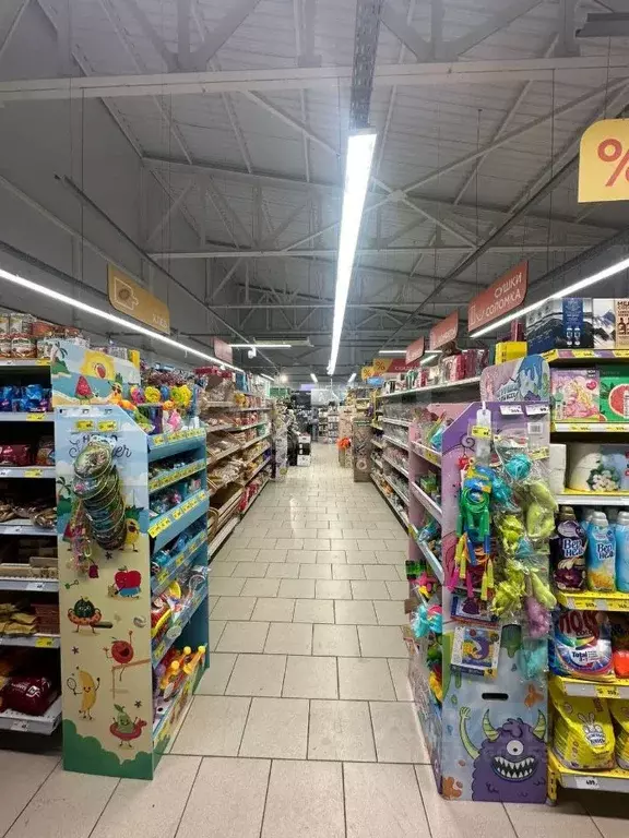 Помещение свободного назначения в Башкортостан, Уфимский район, с. ... - Фото 1