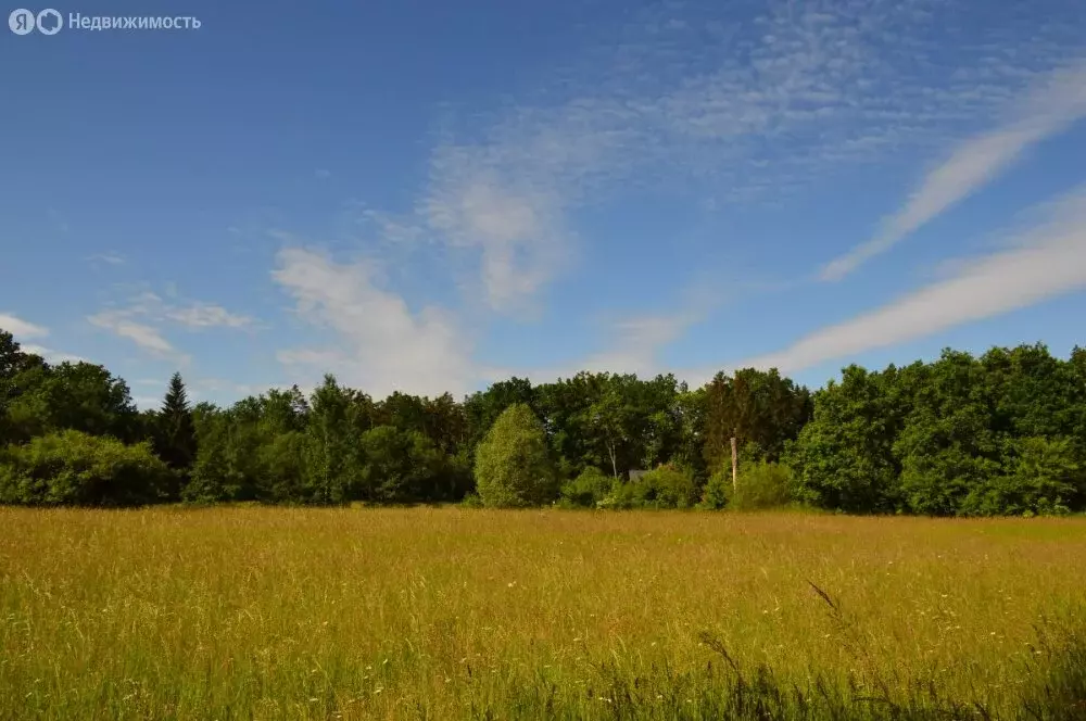 Участок в Пермский муниципальный округ, деревня Петушки (590 м) - Фото 1