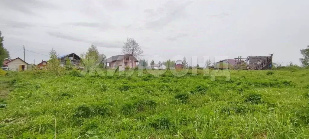 Участок в Новосибирская область, Новосибирский район, Барышевский ... - Фото 1