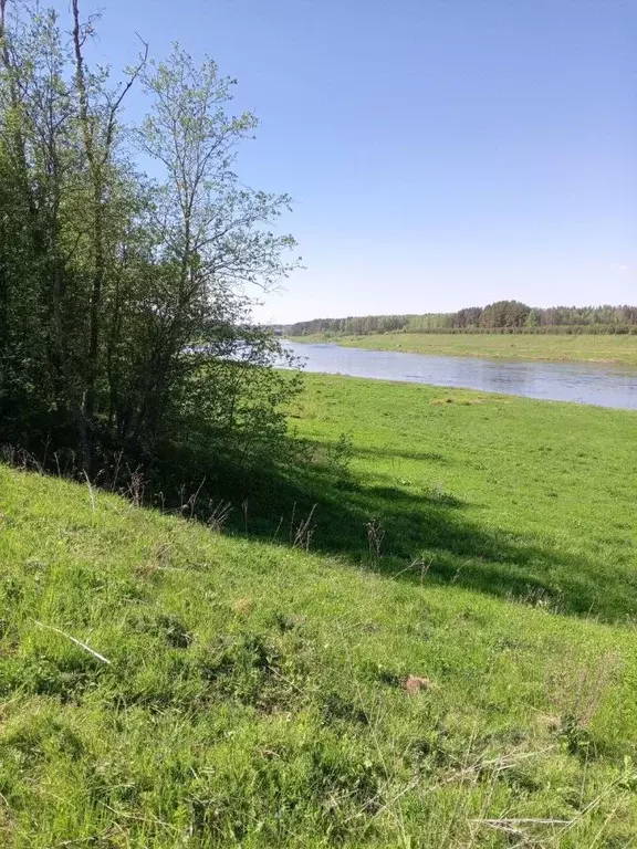 Участок в Тверская область, Старицкий муниципальный округ, д. Иванищи  ... - Фото 1