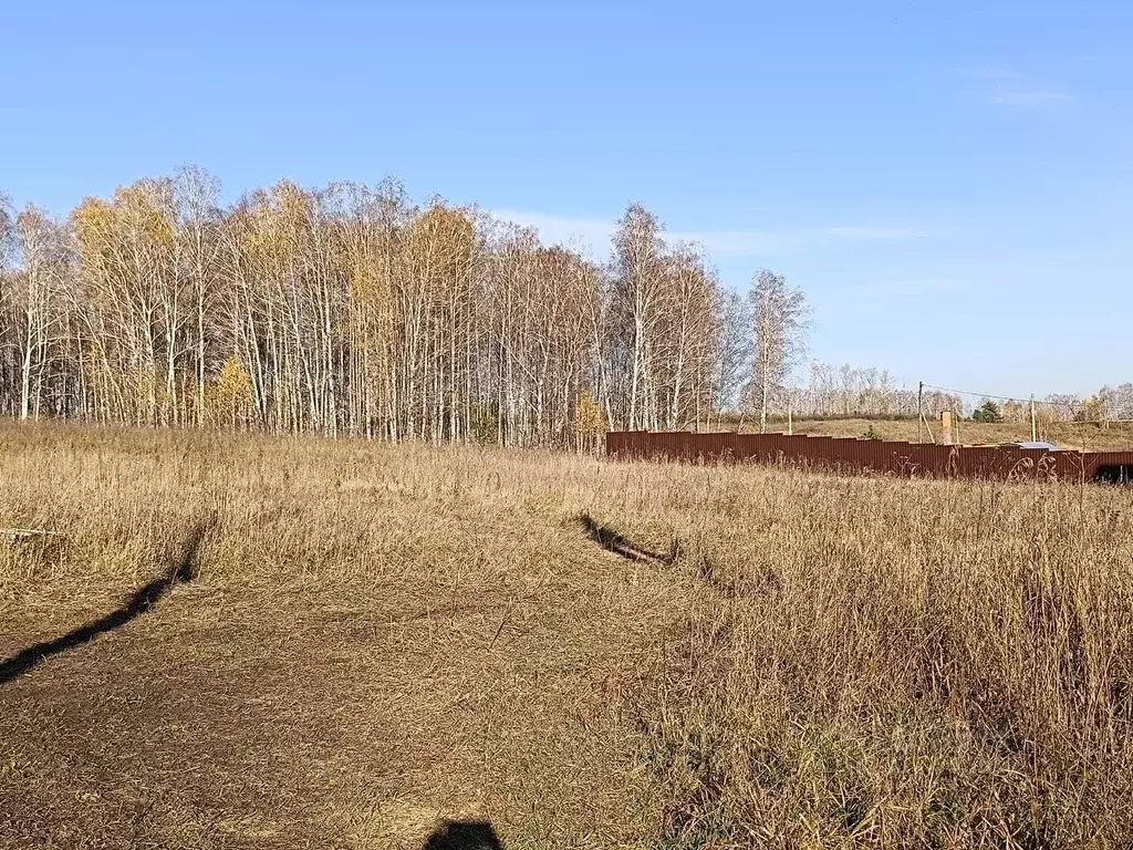 Участок в Красноярский край, Емельяновский район, Шуваевский ... - Фото 0