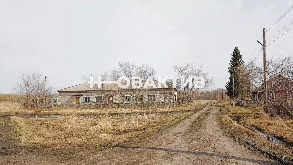 Участок в Новосибирская область, Коченевский район, пос. Новорощинский ... - Фото 0