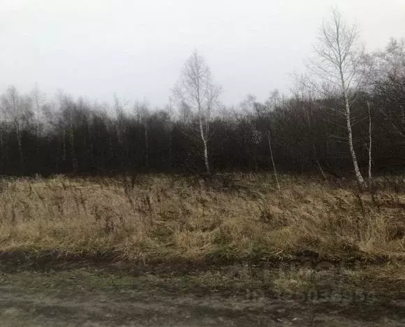 Участок в Московская область, Зарайск муниципальный округ, д. ... - Фото 2