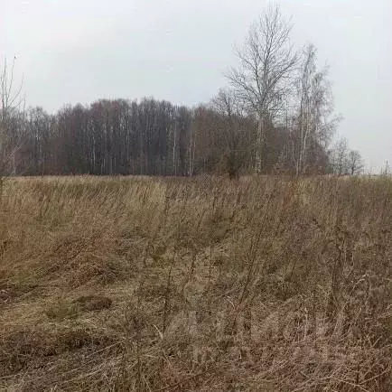 Участок в Московская область, Луховицы муниципальный округ, д. ... - Фото 0