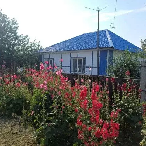 Дом в село Кочки, Советская улица, 32 (70 м) - Фото 2