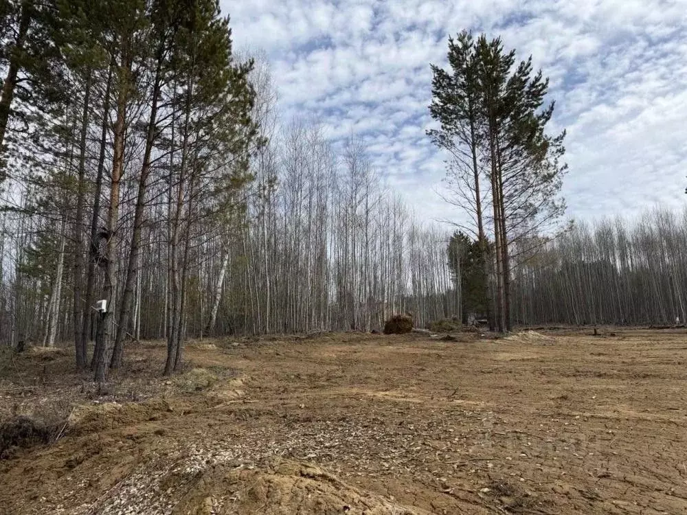 Участок в Иркутская область, Иркутский муниципальный округ, д. ... - Фото 1