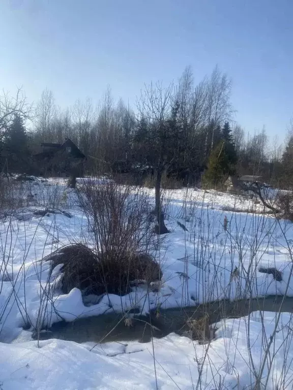 Участок в Ленинградская область, Тосненский район, Лисинское с/пос, ... - Фото 2