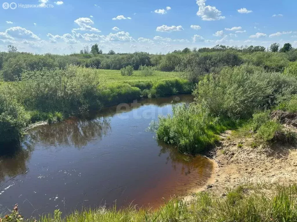 Дом в Нижегородская область, муниципальный округ Навашинский, деревня ... - Фото 0