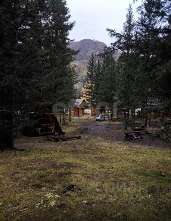 Участок в Алтай, Улаганский район, с. Акташ Ленинская ул. (13.0 сот.) - Фото 1