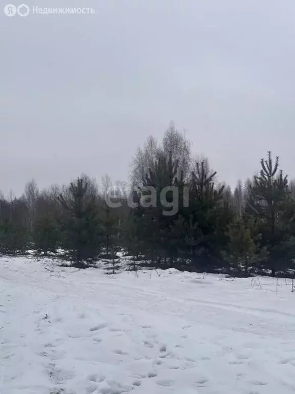 Участок в Нижегородская область, Городецкий муниципальный округ, ... - Фото 0