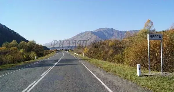 Участок в Алтай, Шебалинский район, с. Черга Октябрьская ул. (13.0 ... - Фото 1
