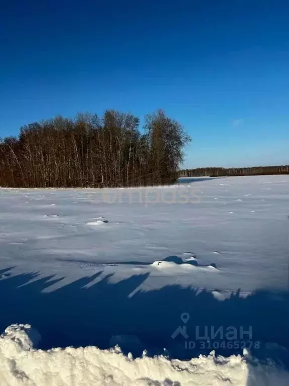 Участок в Тюменская область, Тюменский район, с. Горьковка Сибирская ... - Фото 1