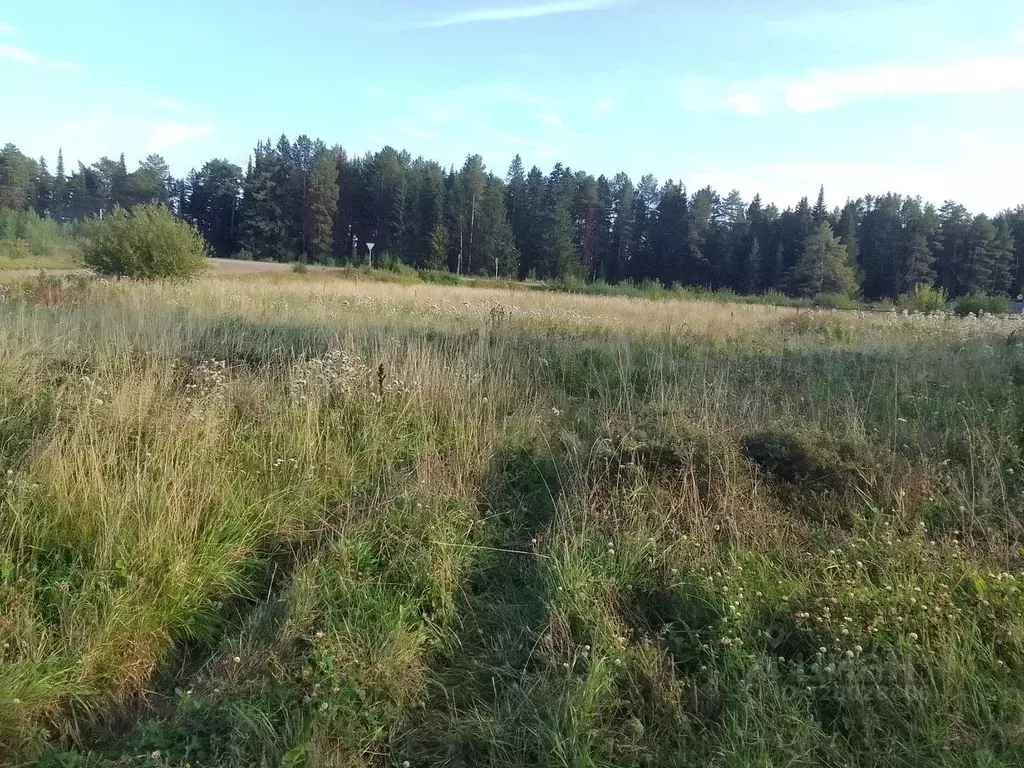 Участок в Пермский край, пос. Ильинский ул. Сосновая, 11 (25.0 сот.) - Фото 2