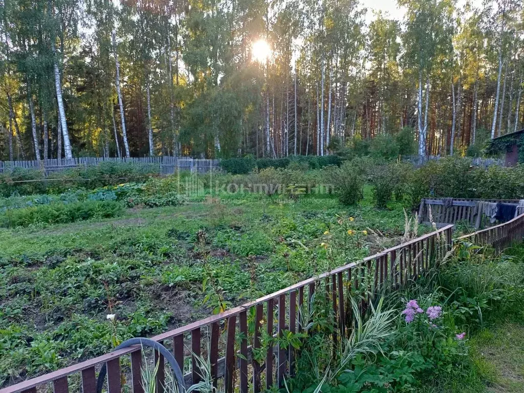 Дом в Владимирская область, Собинский муниципальный округ, с. ... - Фото 1