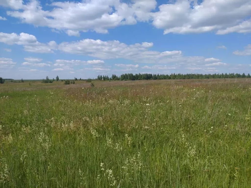 Участок в Московская область, Зарайск городской округ, д. Зименки-1  ... - Фото 0