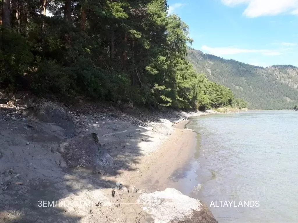 Участок в Алтай, Чемальский район, Чемальское с/пос  (25.0 сот.) - Фото 1