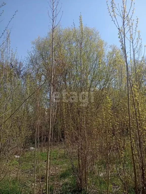 Участок в Воронежская область, Воронеж ул. МОПРА (8.0 сот.) - Фото 0