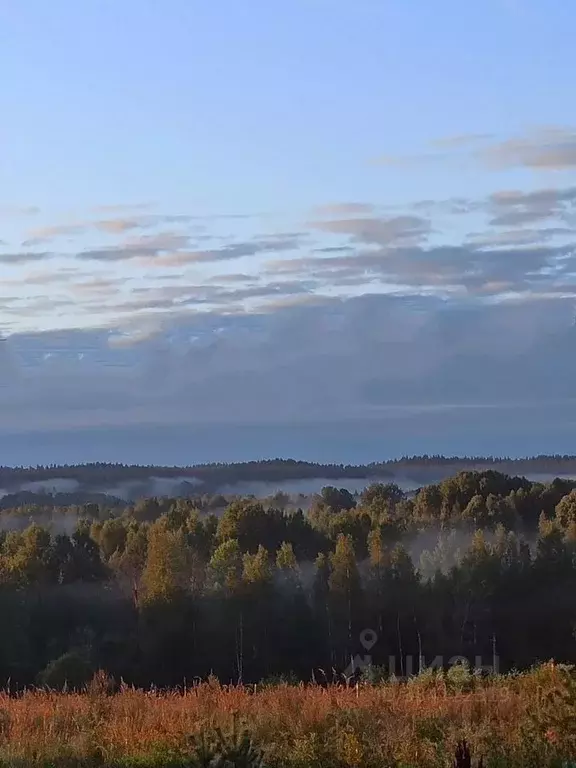 Участок в Ленинградская область, Выборгский район, Рощинское городское ... - Фото 1