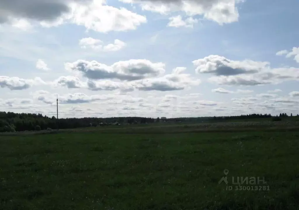 Участок в Кировская область, Слободской муниципальный район, Шиховское ... - Фото 1