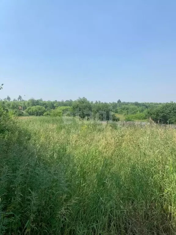 Участок в Амурская область, Благовещенск  (10.0 сот.) - Фото 0