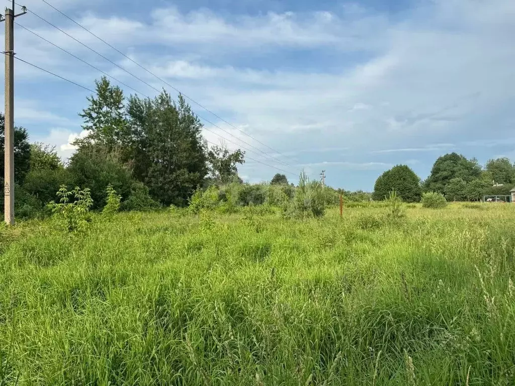 Участок в Мордовия, Саранск городской округ, с. Грибоедово ул. ... - Фото 1
