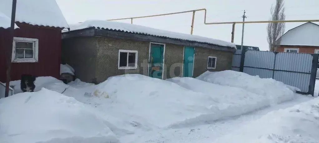 Дом в Челябинская область, Варненский муниципальный округ, с. ... - Фото 1