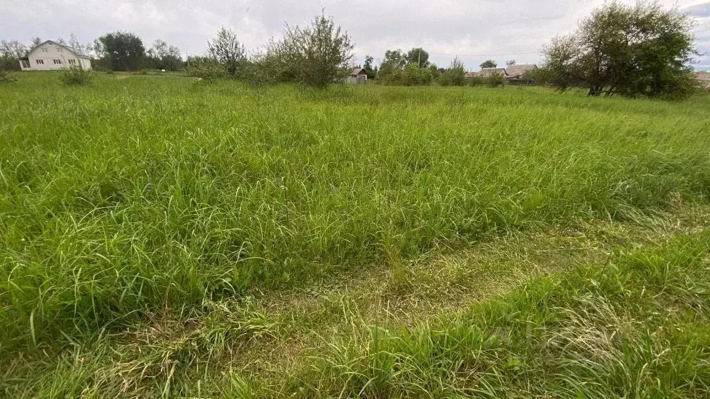 Участок в Брянская область, Клинцовский район, пос. Первое Мая ул. ... - Фото 2