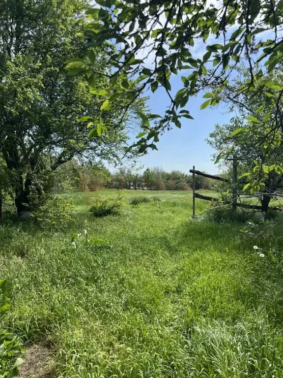 Участок в Ростовская область, Новочеркасск ул. Ромашковая (6.0 сот.) - Фото 0