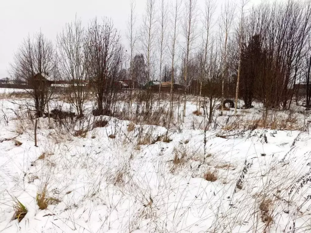 Участок в Вологодская область, Великоустюгский муниципальный округ, д. ... - Фото 1