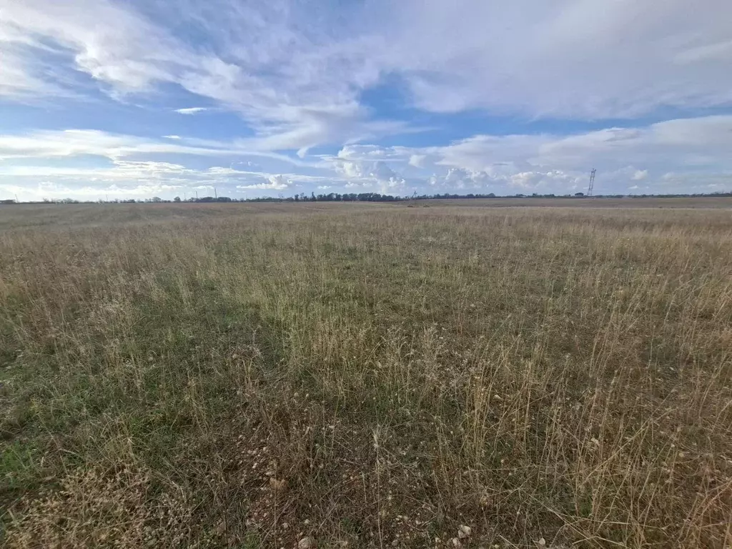 Участок в Крым, Симферопольский район, Николаевка пгт ул. Звездная ... - Фото 0