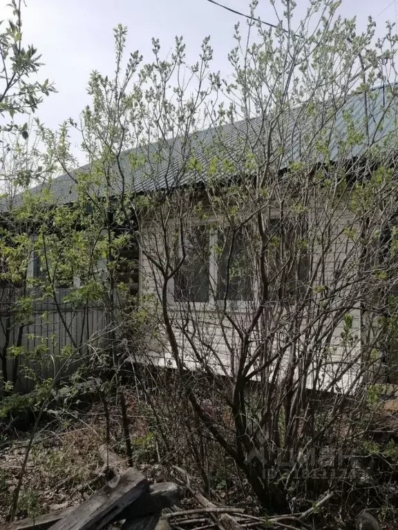 Дом в Челябинская область, Чебаркуль Комсомольская ул., 96 (90 м) - Фото 1
