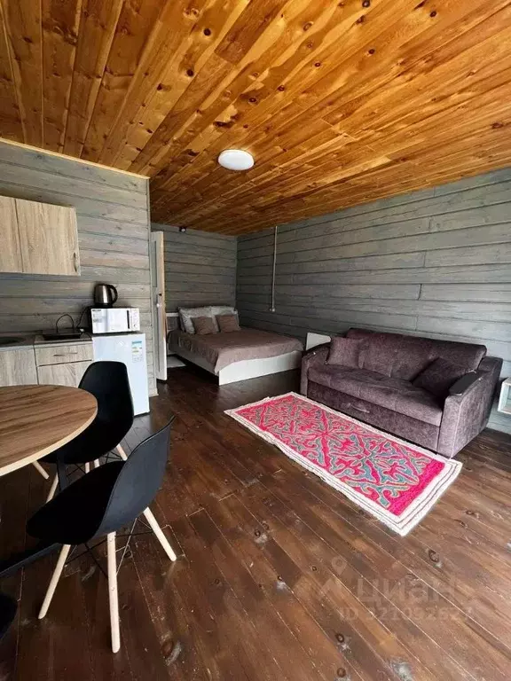 Дом в Алтай, Майминский район, Соузгинское с/пос, Катунь ДНП 24 (25 м) - Фото 0