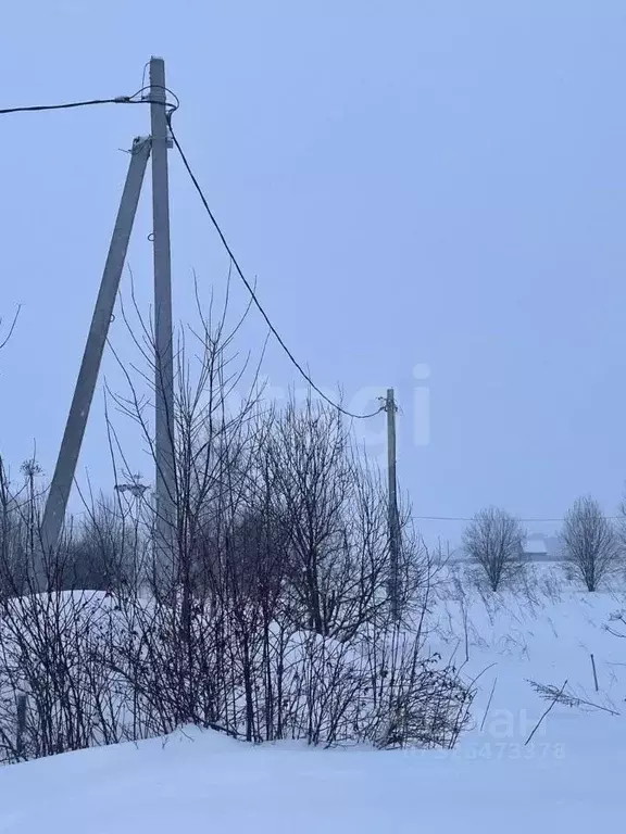 Участок в Пермский край, Пермский муниципальный округ, д. Шугуровка, ... - Фото 1