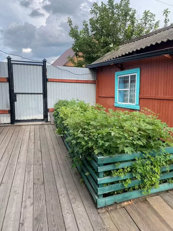 Дом 37,8 м на участке 9 сот. - Фото 0
