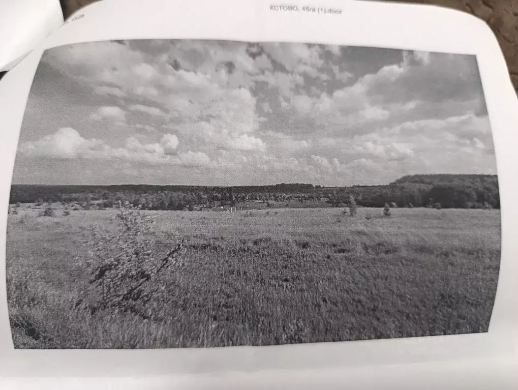 Участок в Нижегородская область, Кстовский муниципальный округ  (45.0 ... - Фото 2