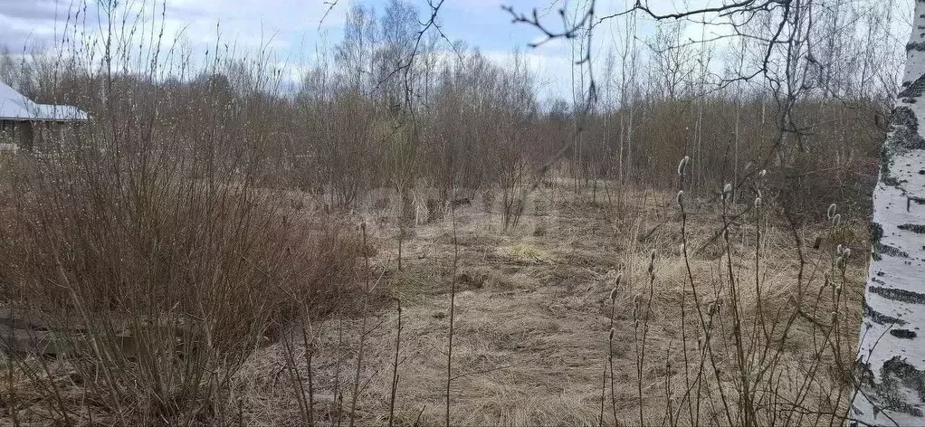 Участок в Санкт-Петербург пер. Снежный, 11 (20.0 сот.) - Фото 1