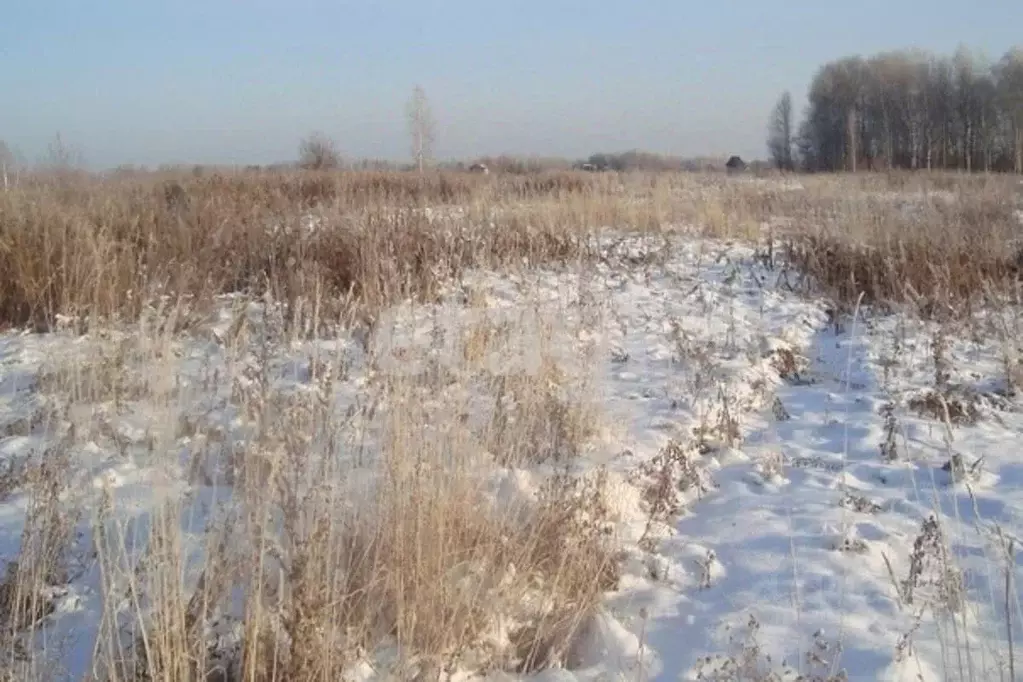 Участок в Костромская область, Костромской район, с. Сущево Советская ... - Фото 0