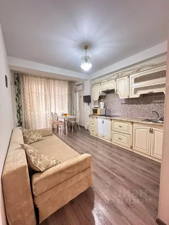 1-к кв. Краснодарский край, Сириус пгт ул. Цветочная, 44/2 (42.0 м) - Фото 0