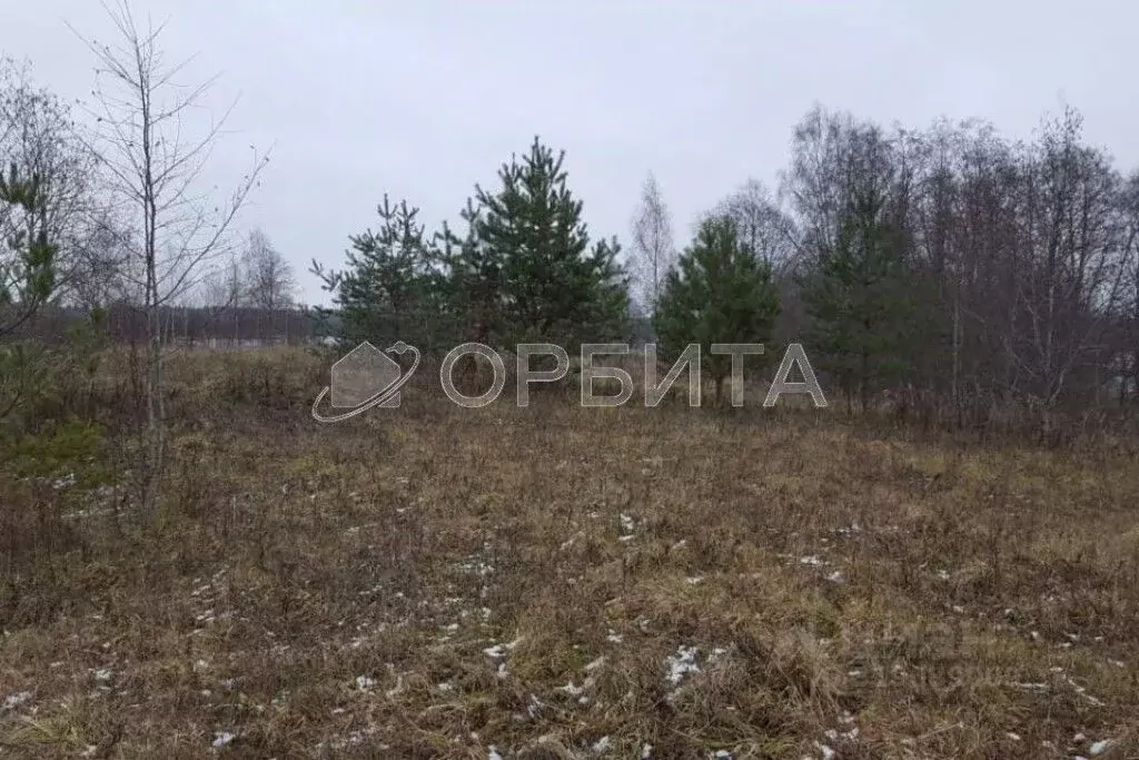 Участок в Тюменская область, Тюменский район, Нива СНТ ул. Урожайная, ... - Фото 1