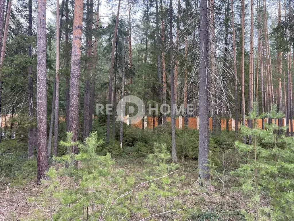 Участок в Пермский край, Добрянский городской округ, Полазна рп  (7.58 ... - Фото 0
