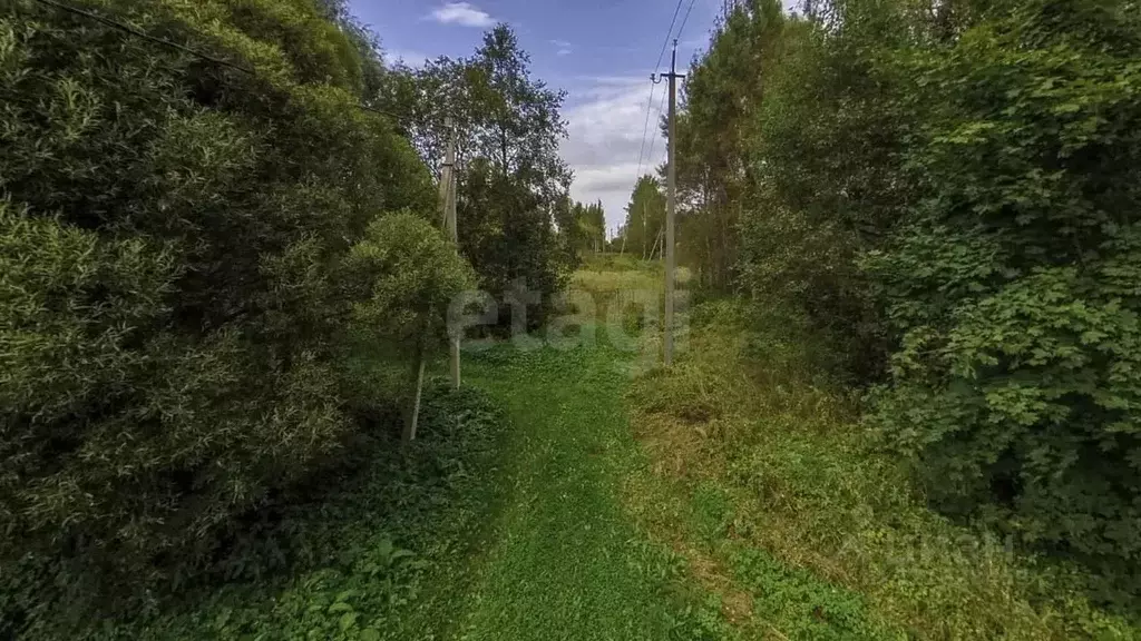 Участок в Ленинградская область, Гатчинский муниципальный округ, д. ... - Фото 1
