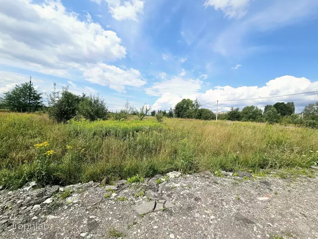 Участок в Калининградская область, Гурьевский муниципальный округ, ... - Фото 1