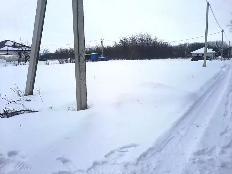 Участок в Белгородская область, Строитель Яковлевский городской округ, ... - Фото 1
