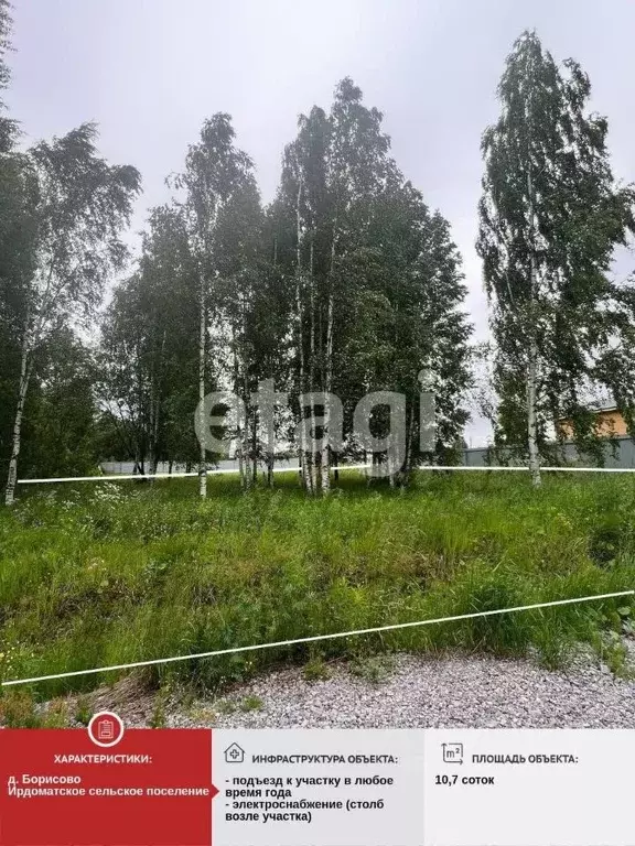 Участок в Вологодская область, Череповецкий район, д. Борисово ... - Фото 2