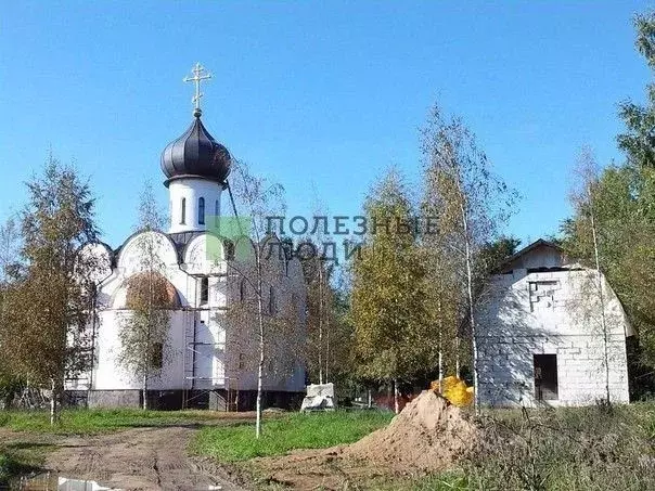 Участок в Ленинградская область, Гатчинский район, д. Жабино ул. ... - Фото 1