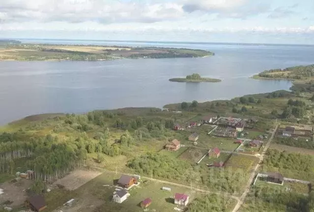 Участок в Нижегородская область, Чкаловск городской округ, д. Колосиха ... - Фото 1