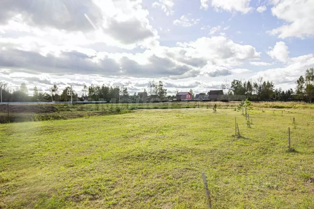 Участок в Калужская область, Боровский муниципальный округ, Совьяки ... - Фото 2