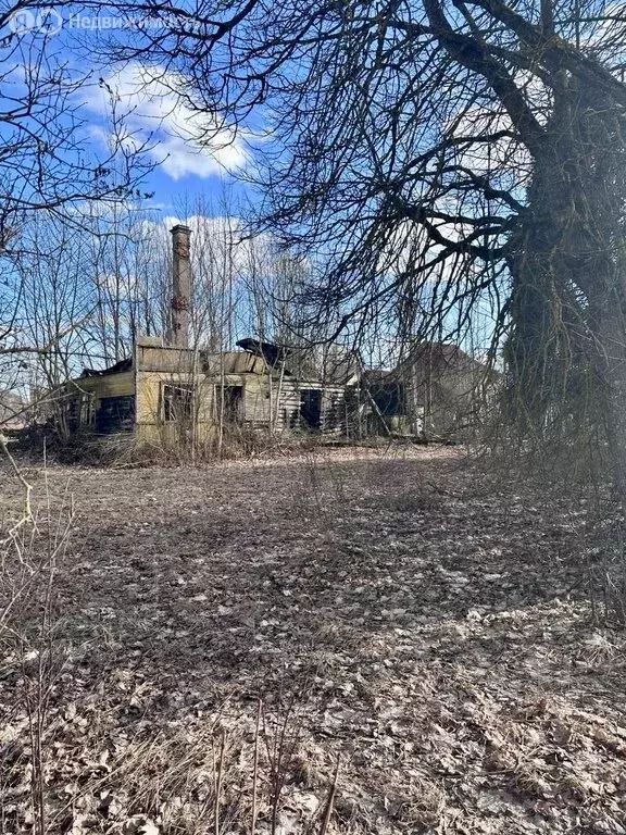 Участок в деревня Выра, Большой проспект, 64 (15 м) - Фото 0