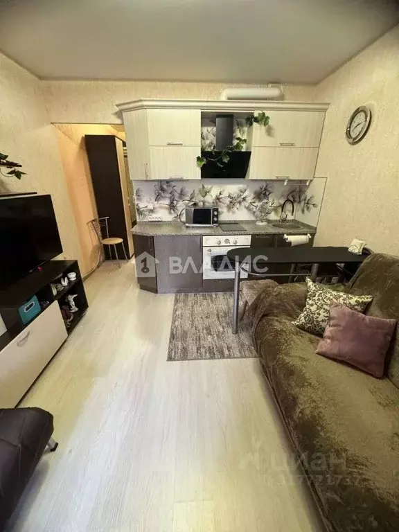 Студия Воронежская область, Новоусманский район, пос. Отрадное ул. ... - Фото 2